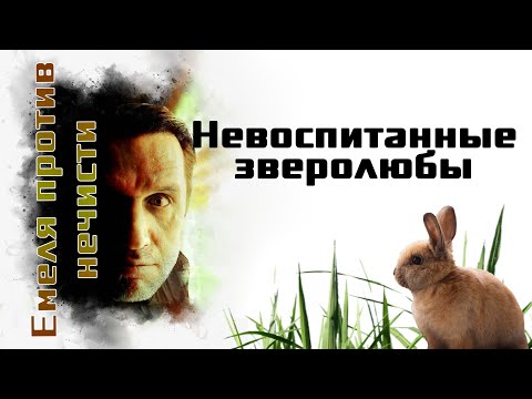 Видео: Невоспитанные зверолюбы.  Поддержка канала- пополнение счета телефона 89691044575