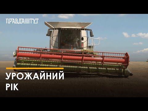 Видео: Кіровоградщина потрапила до трійки областей-лідерок за обсягами зібраних ранніх зернових культур