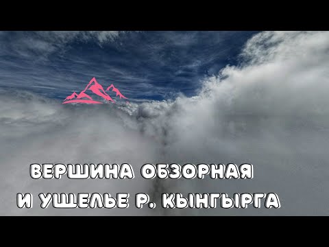 Видео: Вершина Обзорная, в плену ягоды.