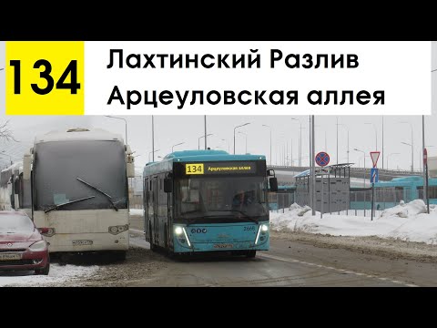 Видео: Автобус 134 "Лахтинский Разлив - Арцеуловская аллея"