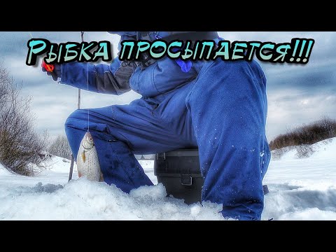 Видео: Рыбалка-разведка в последний день Зимы!