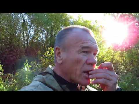 Видео: Авто пеший поход таинственный ручей