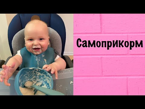 Видео: ПЕРВЫЙ ПРИКОРМ / Самоприкорм / BLW / Наш Опыт