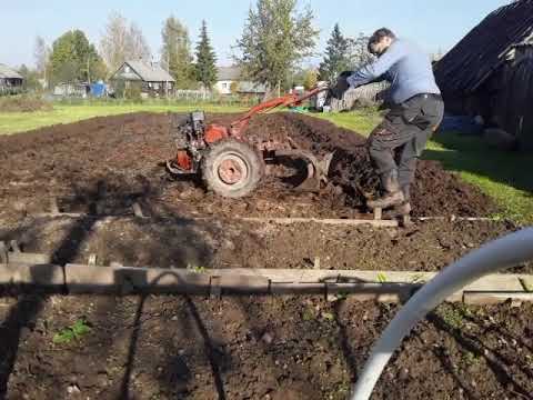 Видео: МТЗ-05 осень вспашка в развал настройка, пашет сам