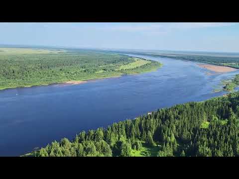 Видео: Тайга северного Урала  The Taiga of the Northern Urals