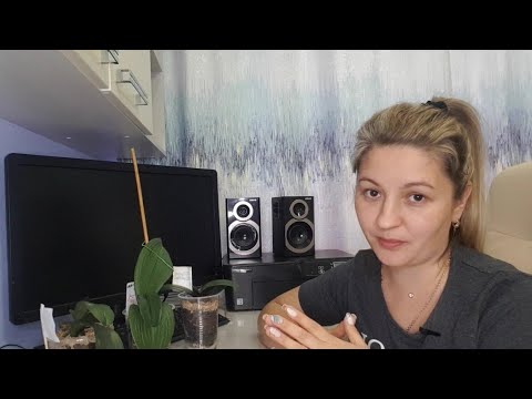 Видео: Такая посадка СПАСАЕТ реанимационные орхидеи и помогает в короткие сроки НАРАСТИТЬ корневую систему