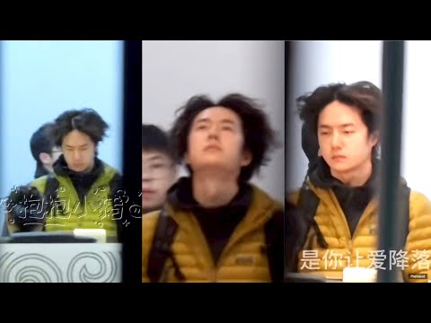 Видео: \Ван Ибо и его «Самая милая прическа ноября» — возвращаются обаятельными и полными энергии.