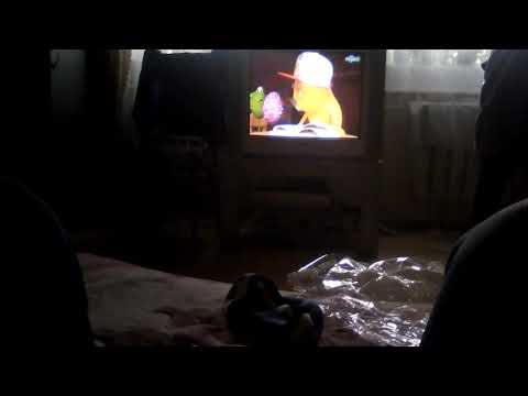 Видео: БобрДобр!