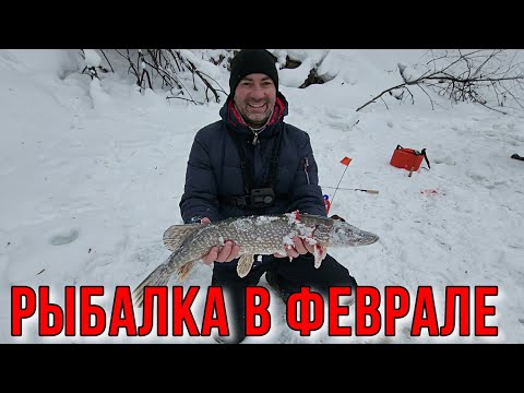 Видео: РЫБАЛКА НА ЖЕРЛИЦЫ| ФЛАГИ ЗАГОРАЛИСЬ, ЧТО ДАЖЕ НЕ УСПЕВАЛИ