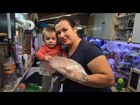 Видео: готвене на живо пък ще видим 🐟