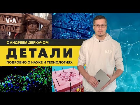 Видео: Лечение депрессии электричеством. Выставка, где тон задает искусственный интеллект. ДЕТАЛИ