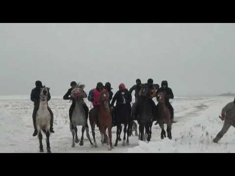 Видео: Жағабұлақ тай, құнан жарыс 22 наурыз 2017 жыл