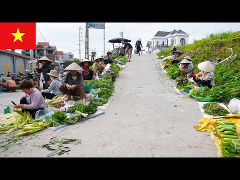 Видео: Прогулка по рынку деревни Чуонг | Путешествие по традиционному вьетнамскому рынку