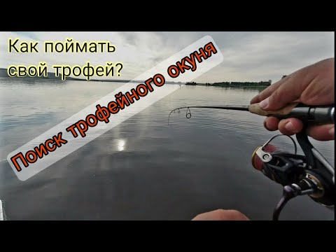 Видео: Поиск и ловля трофейного окуня на водохранилище. Рыбалка в конце июля.