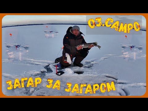 Видео: оз. САМРО . Устал бегать . Загар за загаром.