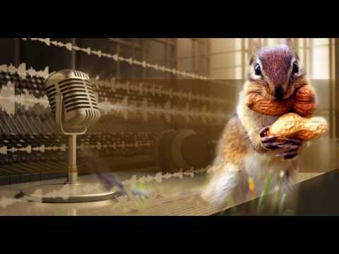 Видео: Здоровое питание. Программа «Приятного аппетита, Чикаго!»