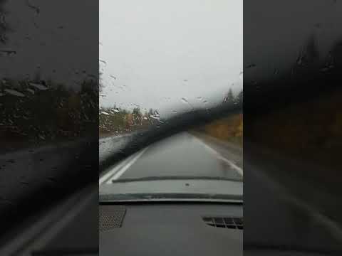 Видео: 4 октября 2024 г.