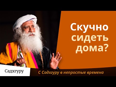 Видео: Откуда берется скука?