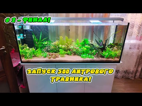 Видео: Запуск 500 литрового аквариума у себя дома. ТОП травник - ФИНАЛ!
