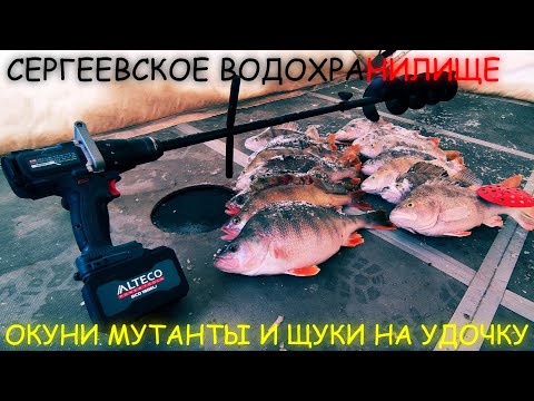 Видео: ОКУНИ ГИГАНТЫ НА МОРМЫШКУ - СЕРГЕЕВСКОЕ ВДХ