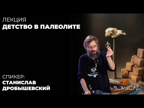 Видео: Каким было детство в палеолите? Станислав Дробышевский