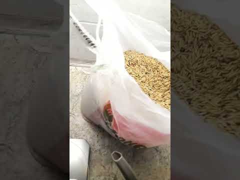 Видео: Не варю ,не сушу, просто добавь воды!