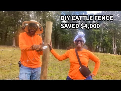 Видео: Строительство загона для скота #countryliving #farming