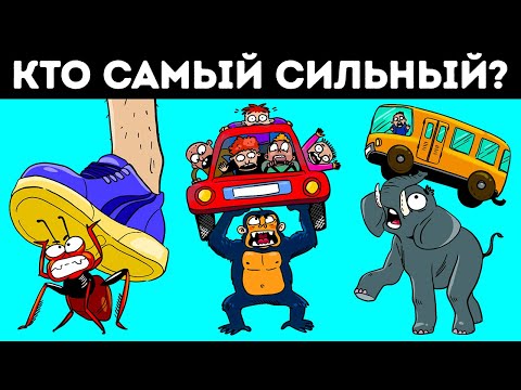 Видео: Какое животное может поднять больше всех