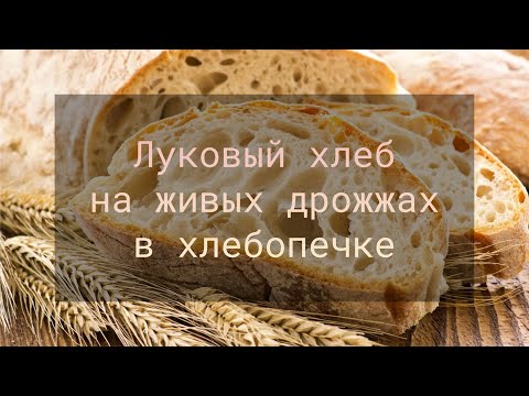 Видео: Луковый хлеб на живых дрожжах в хлебопечке