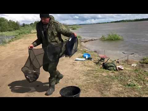 Видео: Ловля леща на счёт. Рыбалка в Омске на Иртыше {Мобильная рыбалка #omskfish}