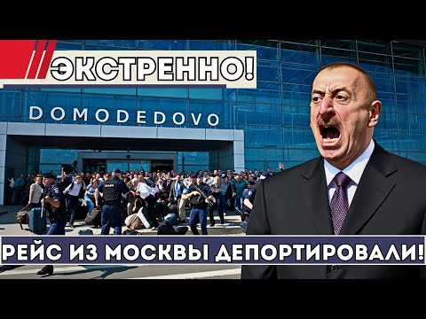 Видео: Скандал В Домодедово? Целый Рейс Из Москвы Экстренно Депортировали В Азербайджан!