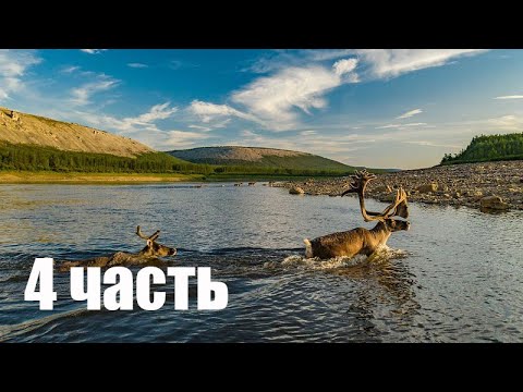 Видео: 1313 км от Путоран до Анабара по рекам Хусана и Котуй. 4 часть, и последняя.