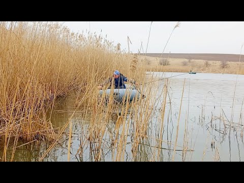 Видео: ВІДКРИТТЯ ПО КАРАСЮ 2024!!! Ловля карася на боковий ківок