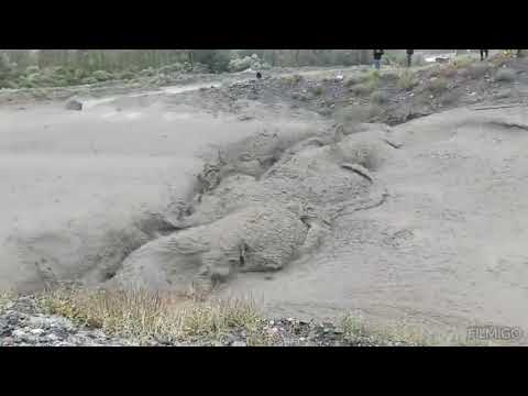 Видео: Сел дар деҳаи Косатарош 20.06.2024.