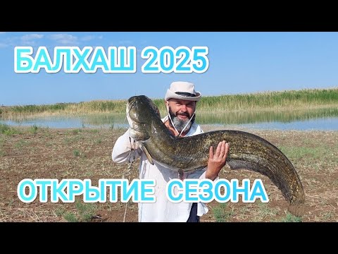 Видео: БАЛХАШ 2025, открытие сезона #андрей_целиноград #разведение_червей #балхаш #отдых #рыбалка