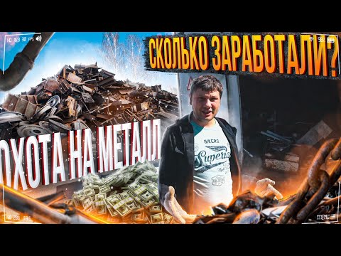 Видео: Охота на металл сколько заработали ?