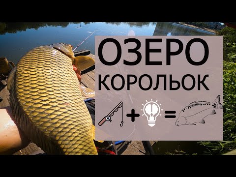 Видео: КАРПФІШИНГ в КИЄВІ.  ОЗЕРО КОРОЛЬОК. РИБАЛКА НА ФЛЕТ.