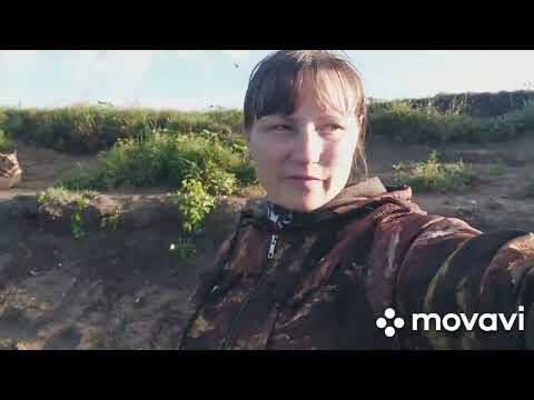 Видео: На рыбалку на р.Днепр. д. Бронное