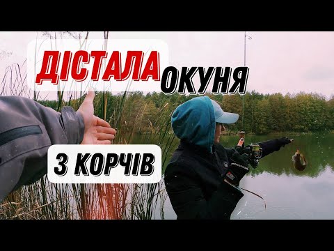 Видео: ДІСТАЛА ОКУНЯ з КОРЧІВ! РИБАЛКА на озері з ДІВЧИНОЮ! + грибний бонус