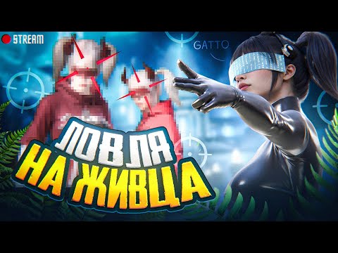 Видео: ПОСУДОМОЙКА И МИКРОВОЛНОВКА ВЫШЛИ НА ОХОТУ В PUBG MOBILE ОБНОВЛЕНИЕ 3.4 | STREAM/СТРИМ/ЛОКАЛКИ