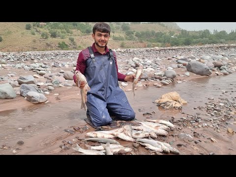 Видео: РЫБАЛКА НА КАСТИНГОВОЙ СЕТЬЮ РИКА ОБИ НИЁВ Н ДУМ МОХИГИРИ ДАР TAJIKISTAN Sepme ile BALIK avi