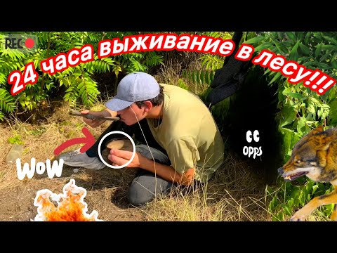 Видео: 24 часа выживание в лесу. Выживание с сапёрной лопатой за 50 долларов. Ночь в лесу. Приключение)