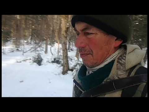 Видео: Промысловая охота у подножия Сихотэ-Алиня