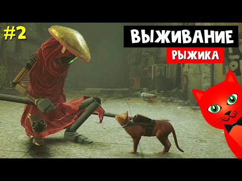 Видео: КОТ НАШЁЛ РОБОТОВ В КИБЕРГОРОДЕ | Stray | Выживание кота в Кибергороде. Эпизод #2