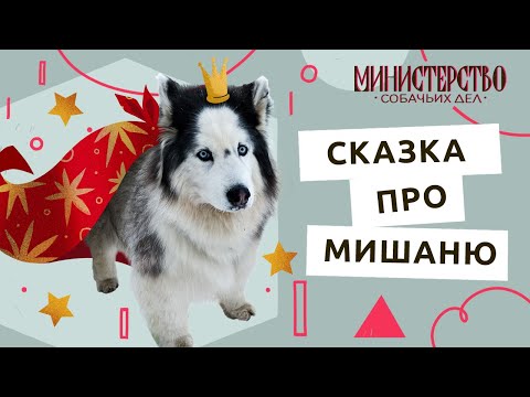 Видео: Сказка про Мишаню: новогодний выпуск