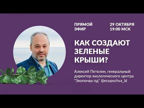 Видео: Как создают зелёные крыши