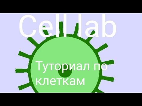 Видео: 🔬Гайд по Cell lab 🔬 #1