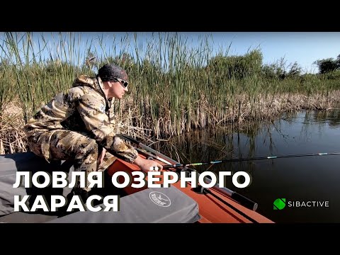 Видео: Ловля озёрного карася | Рыбалка Sibactive