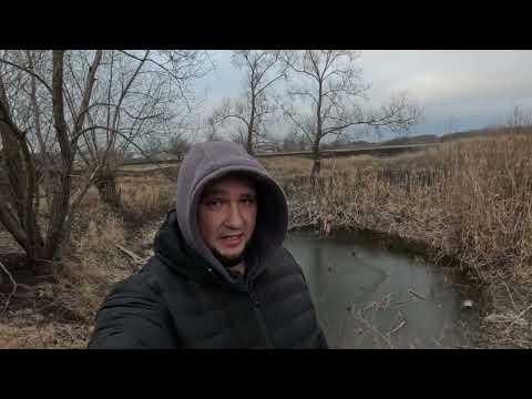 Видео: Пошуковий магніт Що цікавого можна найти в маленькому ставочку?