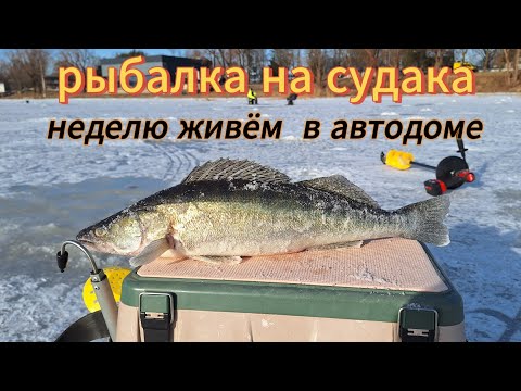 Видео: Рыбалка на судака в Феврале. Пярну река